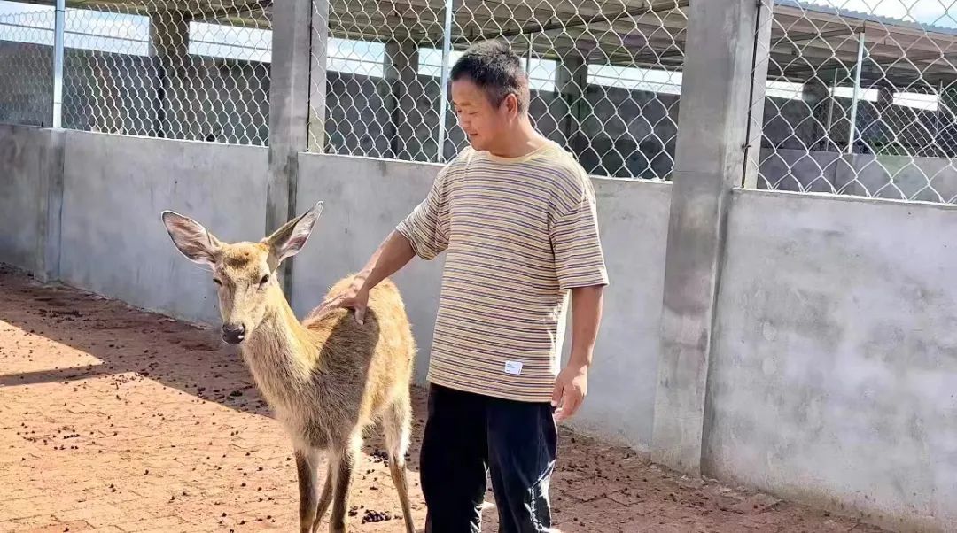 850打鱼破解